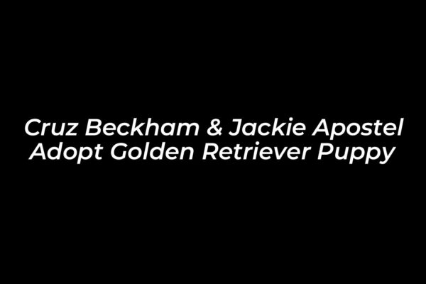 cruz beckham jackie apostel adopt golden retriever puppy 2pxR