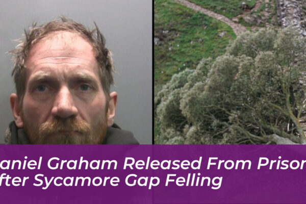 daniel graham released from prison after sycamore gap felling 48Lu