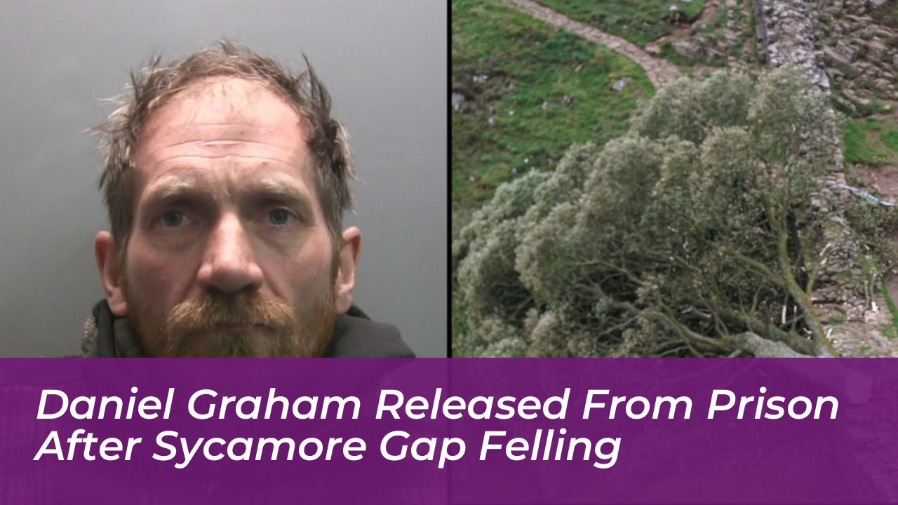 daniel graham released from prison after sycamore gap felling 48Lu
