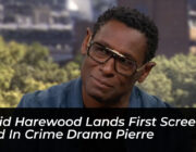 david harewood lands first screen lead in crime drama pierre IhZ6