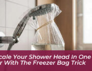 descale your shower head in one hour with the freezer bag trick DgNt