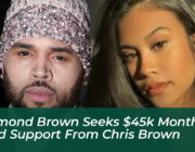 diamond brown seeks 45k monthly child support from chris brown MLCj