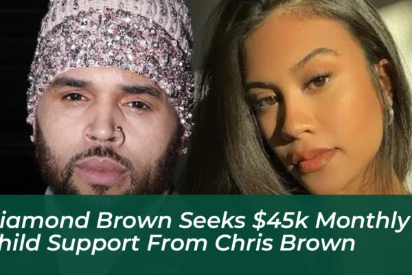 diamond brown seeks 45k monthly child support from chris brown MLCj
