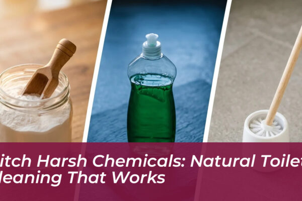 ditch harsh chemicals natural toilet cleaning that works 0HSz