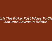 ditch the rake fast ways to clear autumn lawns in britain HLLi