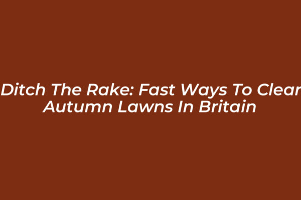ditch the rake fast ways to clear autumn lawns in britain HLLi