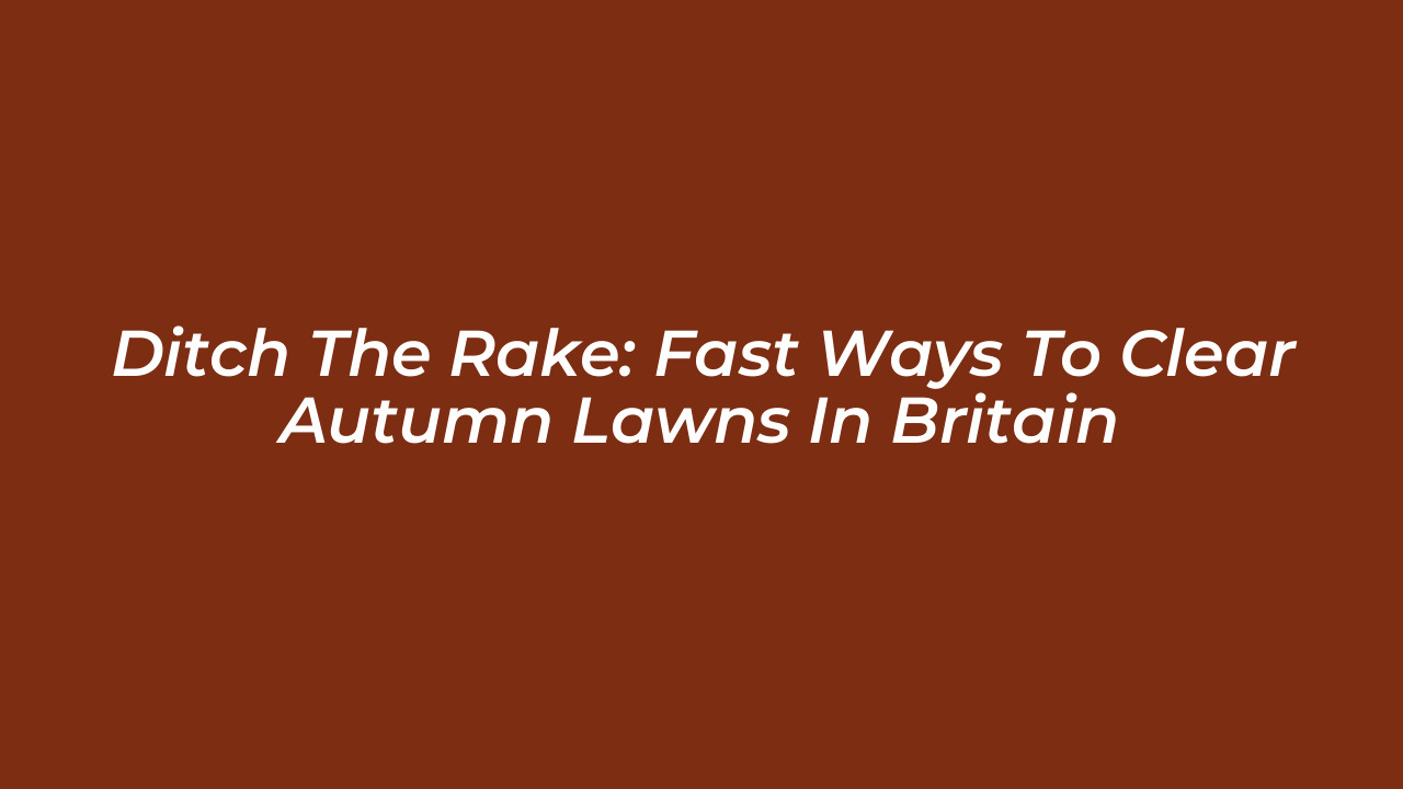ditch the rake fast ways to clear autumn lawns in britain HLLi