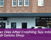 driver dies after crashing suv into bondi gelato shop e8yK