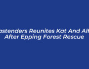 eastenders reunites kat and alfie after epping forest rescue wsoY