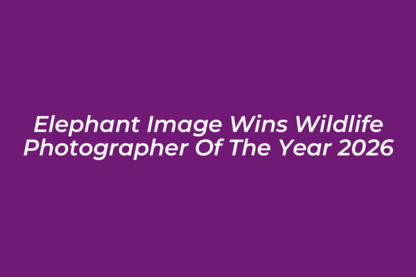 elephant image wins wildlife photographer of the year 2026 o8YO