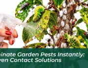 eliminate garden pests instantly proven contact solutions CH9S