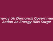 energy uk demands government action as energy bills surge sr1j