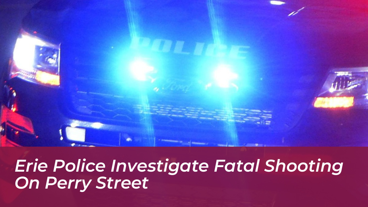 erie police investigate fatal shooting on perry street 7r1H