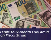 euro falls to 17 month low amid french fiscal strain wzes