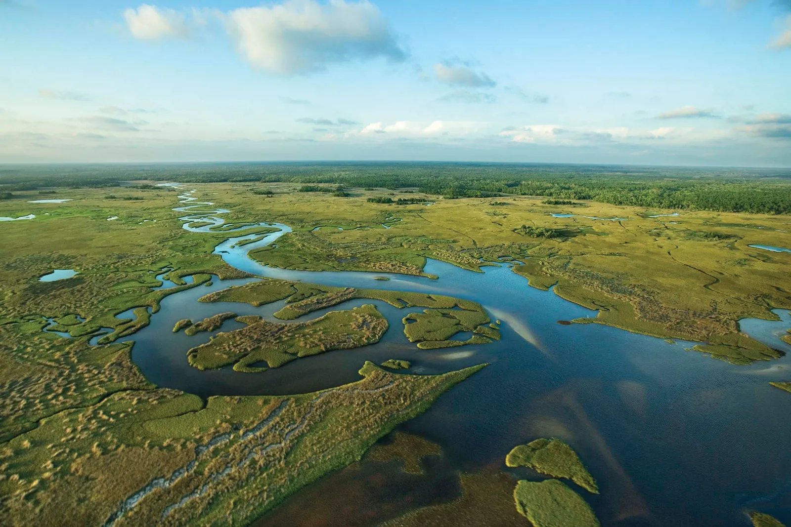 Florida Python Hunters and Scientists Target Invasive Snakes 3 Everglades Python Hunter Wildlife Management