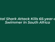 fatal shark attack kills 65 year old swimmer in south africa ZFn7
