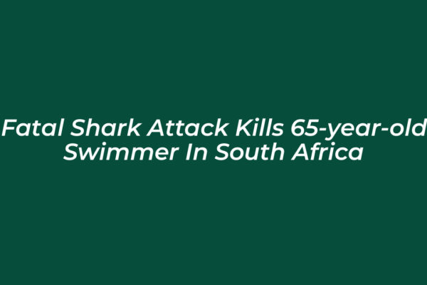 fatal shark attack kills 65 year old swimmer in south africa ZFn7
