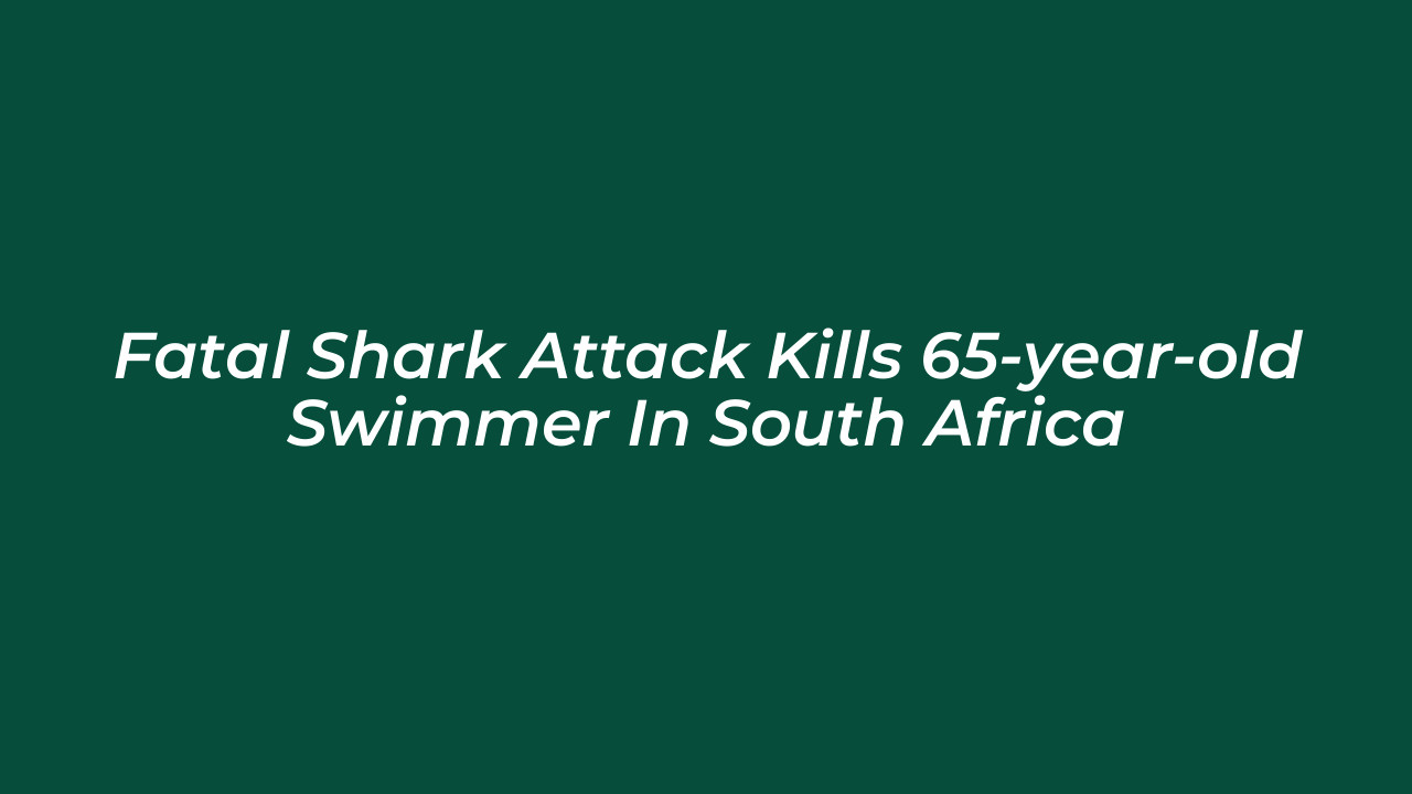 fatal shark attack kills 65 year old swimmer in south africa ZFn7