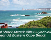 fatal shark attack kills 65 year old woman at eastern cape beach 1yRm
