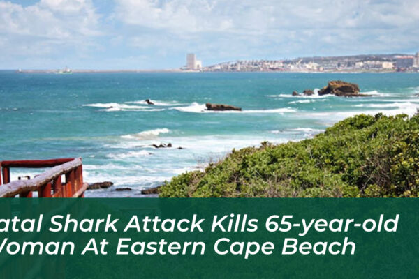 fatal shark attack kills 65 year old woman at eastern cape beach 1yRm