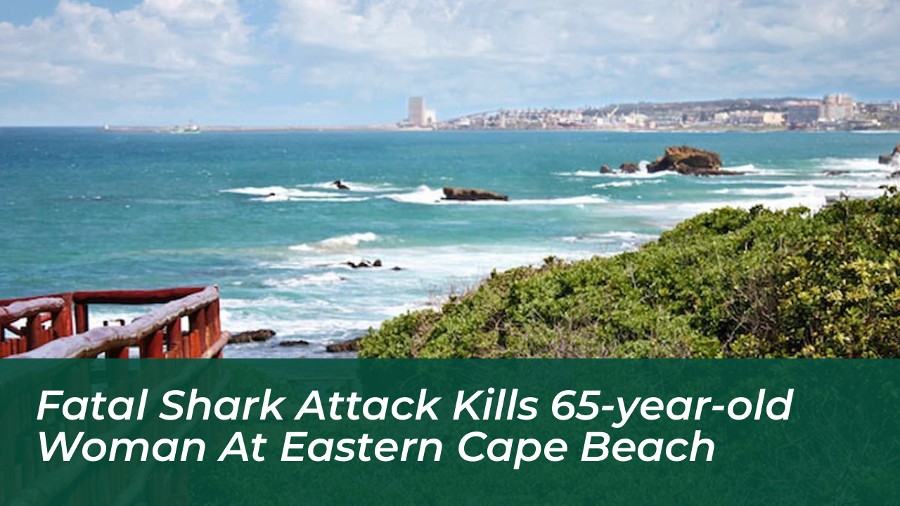 fatal shark attack kills 65 year old woman at eastern cape beach 1yRm