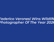 federico veronesi wins wildlife photographer of the year 2026 MnbE