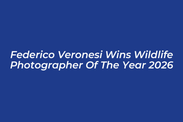 federico veronesi wins wildlife photographer of the year 2026 MnbE