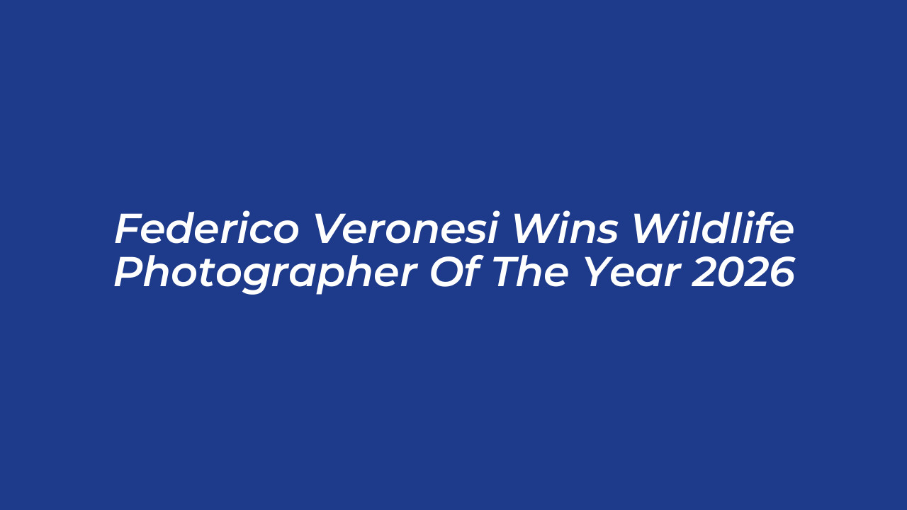 federico veronesi wins wildlife photographer of the year 2026 MnbE