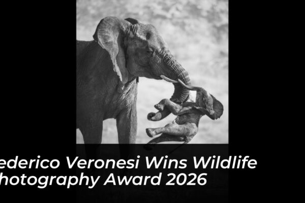 federico veronesi wins wildlife photography award 2026 hTVb