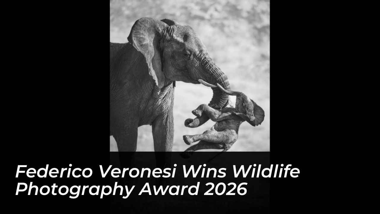 federico veronesi wins wildlife photography award 2026 hTVb