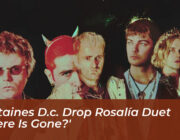 fontaines d c drop rosalia duet where is gone 1Ejt