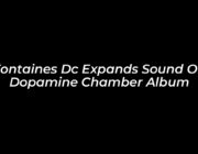 fontaines dc expands sound on dopamine chamber album eEkX