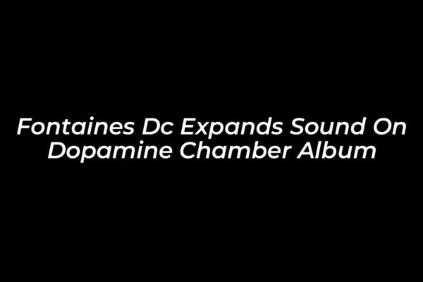 fontaines dc expands sound on dopamine chamber album eEkX