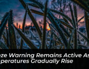 freeze warning remains active as temperatures gradually rise zQPB
