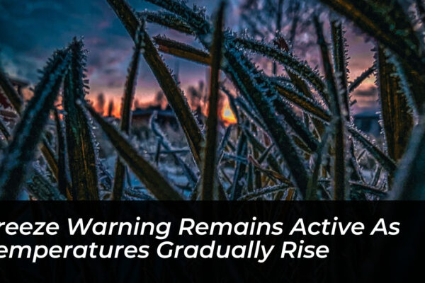freeze warning remains active as temperatures gradually rise zQPB