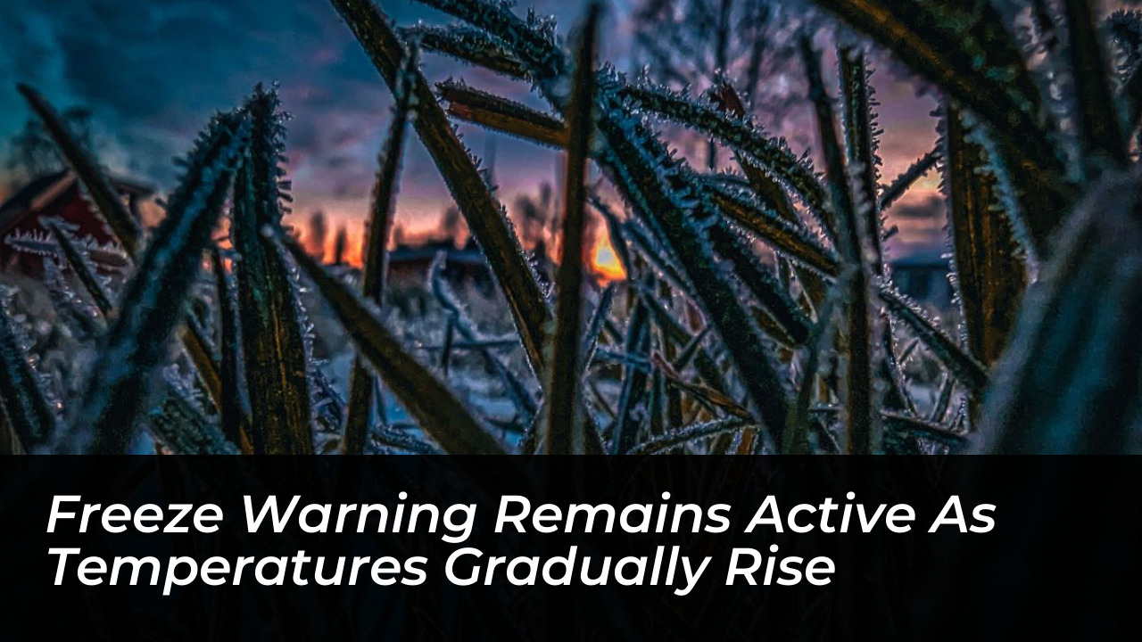 freeze warning remains active as temperatures gradually rise zQPB