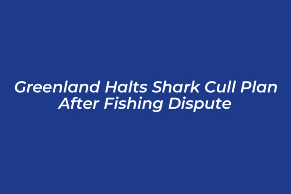 greenland halts shark cull plan after fishing dispute rXl6