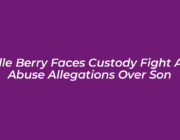 halle berry faces custody fight and abuse allegations over son 9WdD