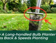 how a long handled bulb planter saves back speeds planting M83V