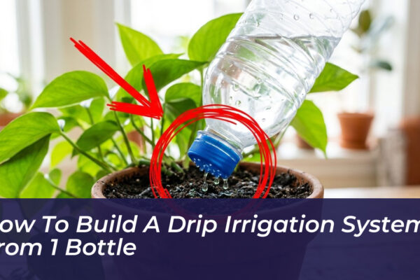 how to build a drip irrigation system from 1 bottle gnxr
