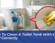 how to clean a toilet tank with citric acid correctly zLKk