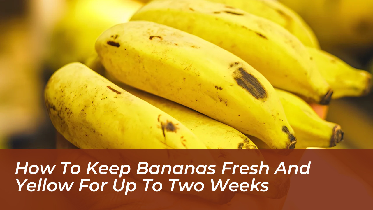 how to keep bananas fresh and yellow for up to two weeks 6jW7