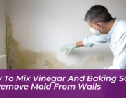how to mix vinegar and baking soda to remove mold from walls 6DGM