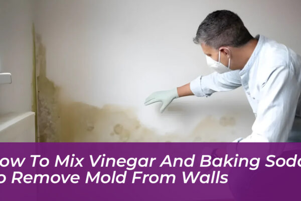 how to mix vinegar and baking soda to remove mold from walls 6DGM