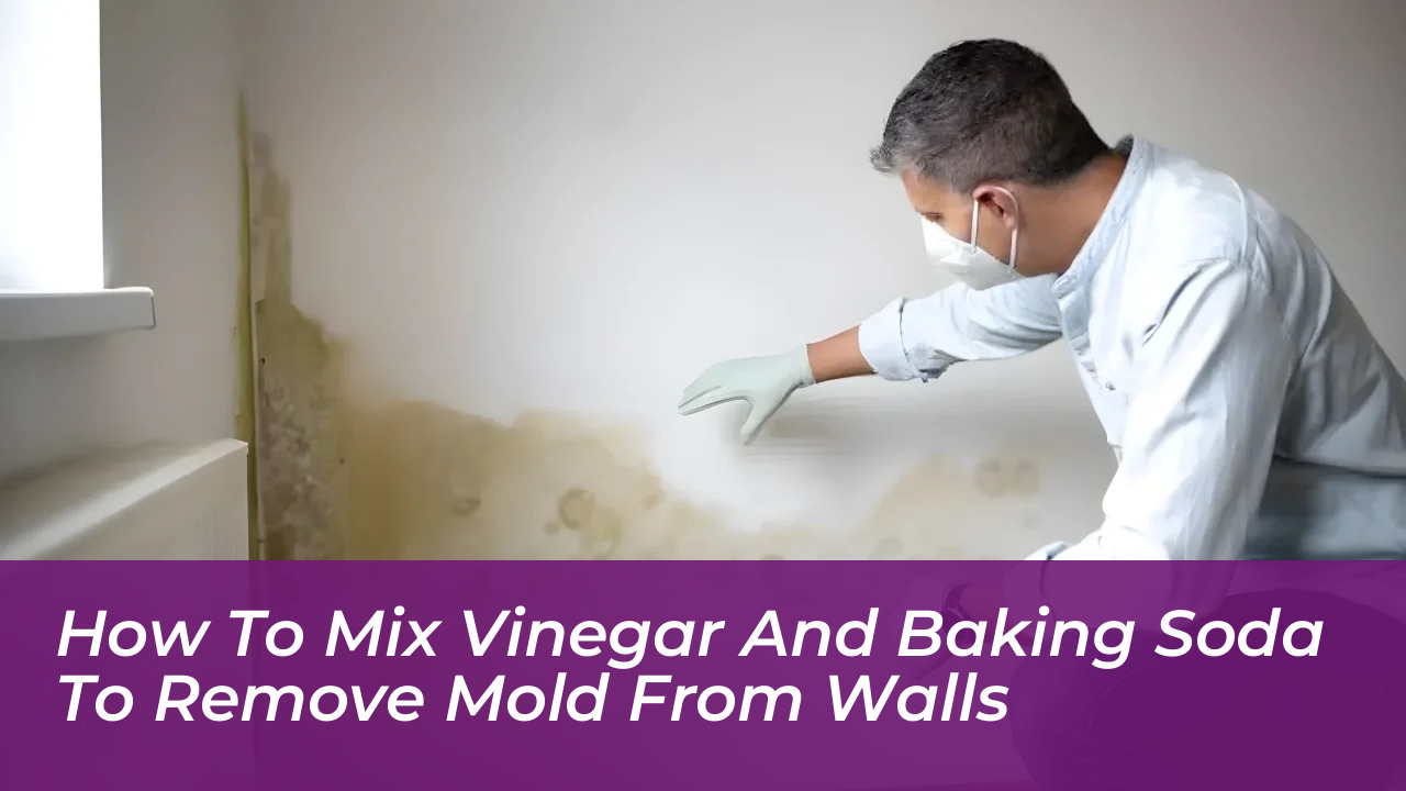 how to mix vinegar and baking soda to remove mold from walls 6DGM