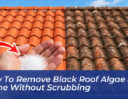 how to remove black roof algae grime without scrubbing 9PkI