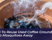 how to reuse used coffee grounds to keep mosquitoes away 8dJs