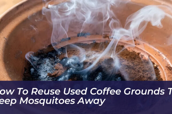 how to reuse used coffee grounds to keep mosquitoes away 8dJs