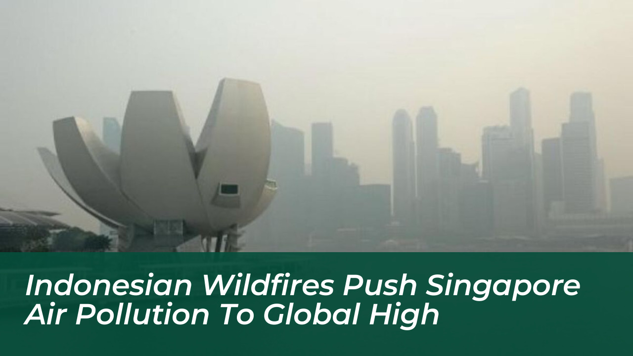 indonesian wildfires push singapore air pollution to global high kRyQ