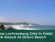 janine lochrenberg dies in fatal shark attack at orient beach mXVi